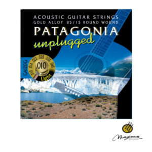 PATAGONIA - Acustica 011 - GA120GL- 12 cuerdas